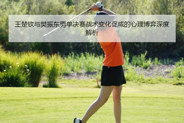 王楚钦与樊振东男单决赛战术变化促成的心理博弈深度解析